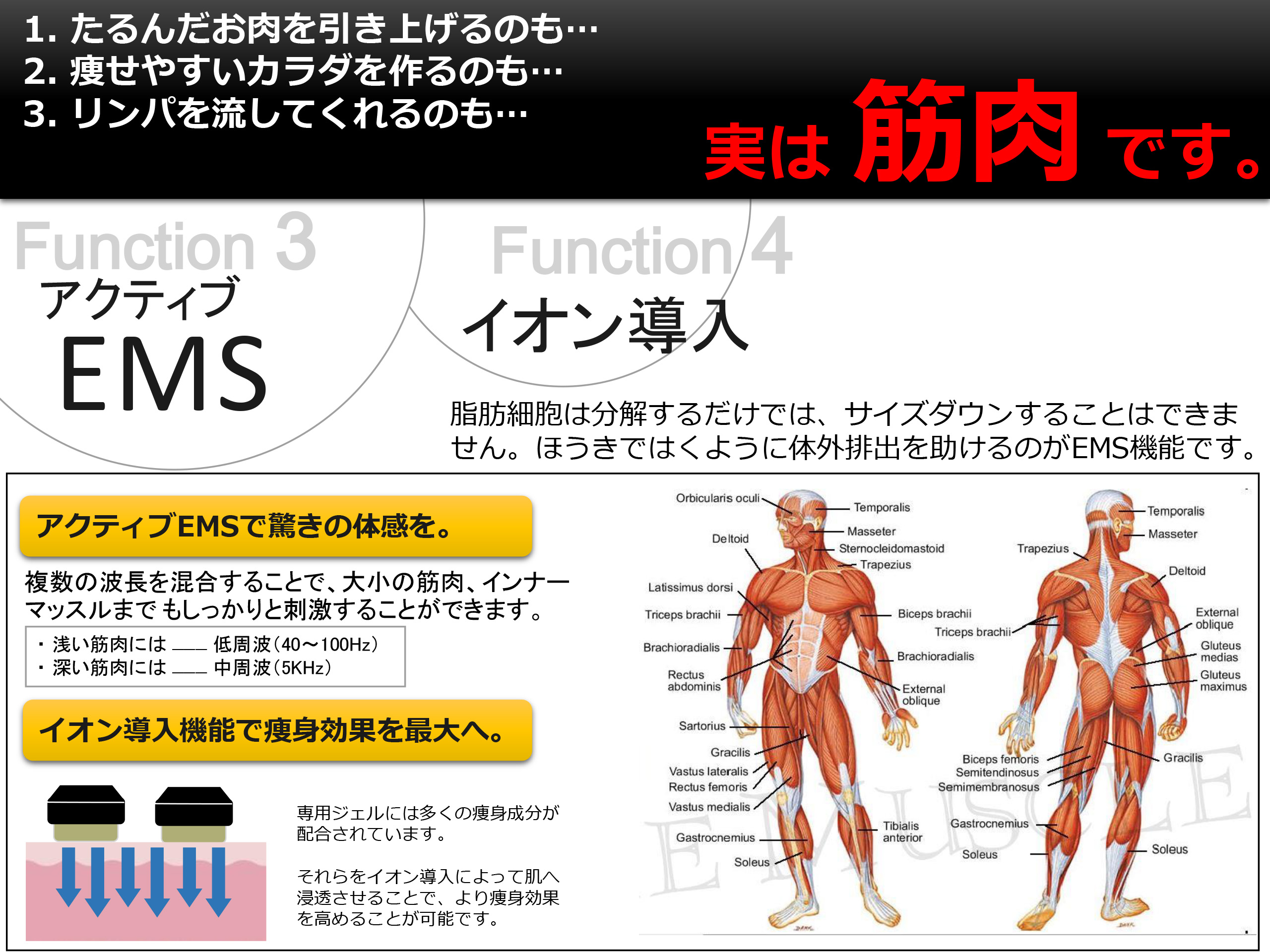 Wキャビテーション技術で、その脂肪細胞を絶つ